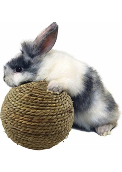 4 Adet Tarzı Amster Tavşan Çiğneme Çim Topu Evcil Hayvan Çiğneme Oyuncağı Doğal Çim Topu Tavşan Hamster Kobay Dişleri Temizleme Molar Topu (Yurt Dışından) fiyatları