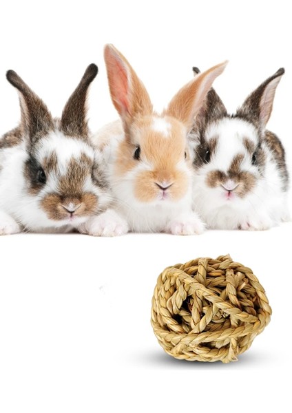 4 Adet Tarzı Amster Tavşan Çiğneme Çim Topu Evcil Hayvan Çiğneme Oyuncağı Doğal Çim Topu Tavşan Hamster Kobay Dişleri Temizleme Molar Topu (Yurt Dışından) modelleri