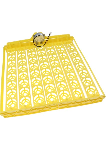 Automatken Ördek Bıldırcın Yumurtası Kuluçka Makinesi Turner Tepsisi W 220V Volt Motor (Yurt Dışından)