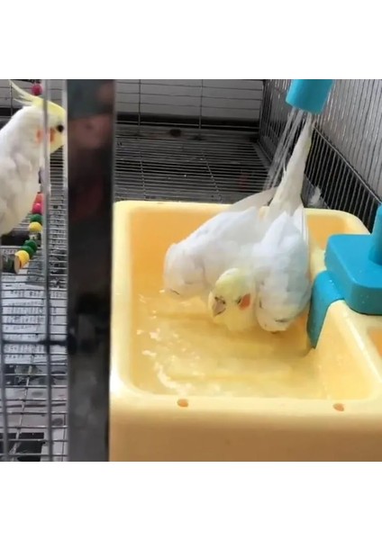Sarı Stil Otomatik Küvet Papağan Kuş Besleyici Kafes Papağan Banyo Duş Yüzme Havuzu Musluk Parakeet Oyuncaklar Calopsita Corella Banyo Havzası (Yurt Dışından) fırsatları