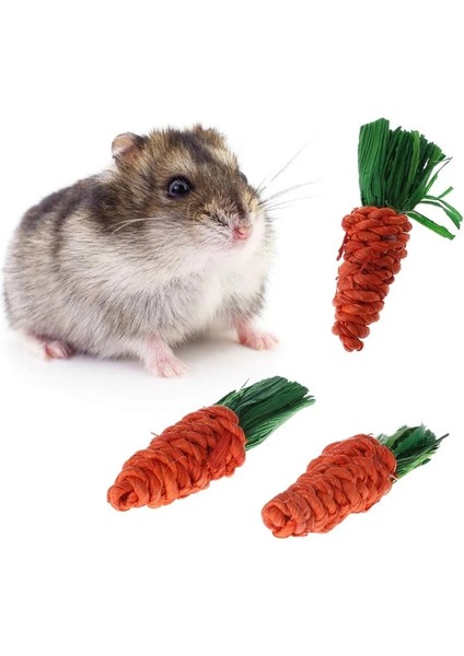 1 Adet Havuç-S Tarzı Pet Oyuncaklar Havuç Şekilli Tavşan Hamster Chew Bite Oyuncaklar Kobay Diş Temizleme Oyuncaklar Molar Su Bitkileri Oyuncaklar (Yurt Dışından)