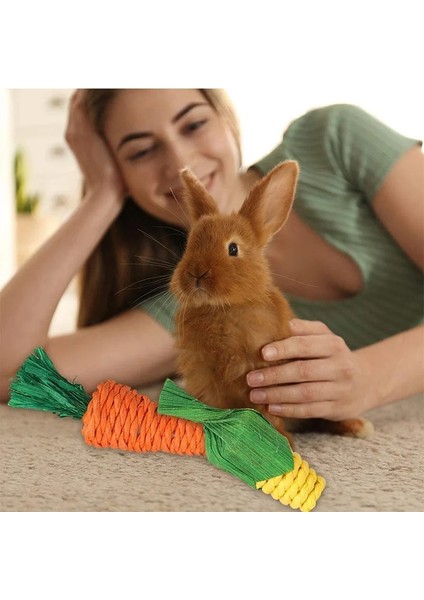 1 Adet Havuç-S Tarzı Pet Oyuncaklar Havuç Şekilli Tavşan Hamster Chew Bite Oyuncaklar Kobay Diş Temizleme Oyuncaklar Molar Su Bitkileri Oyuncaklar (Yurt Dışından)