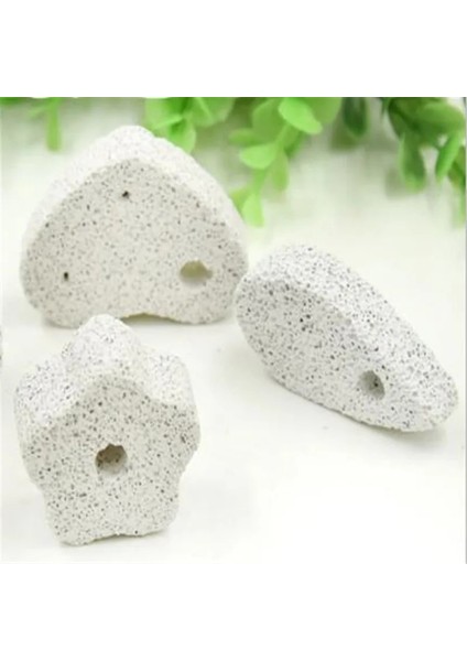 Çiçek Stili Kobay Hamster Tavşan Diş Taşlama Taş Küçük Pet Malzemeleri Chew Oyuncaklar Mineraller Molar Taş Lla Köpek Totoro Için (Yurt Dışından) modelleri