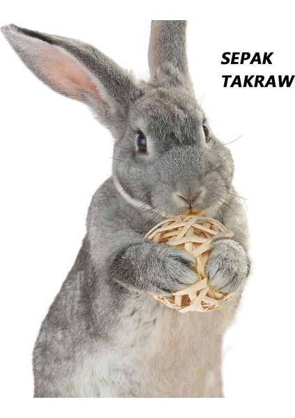 Pet Oyuncak Bir Stil Pet Hamster Diş Taşlama Oyuncaklar Tavşan Ağacı Dalı Çim Topu Doğal Çiğneme Oyuncaklar Tavşanlar Kuş Papağan Oyun Rattan Topu Oyuncak Pet Için (Yurt Dışından) indirimleri