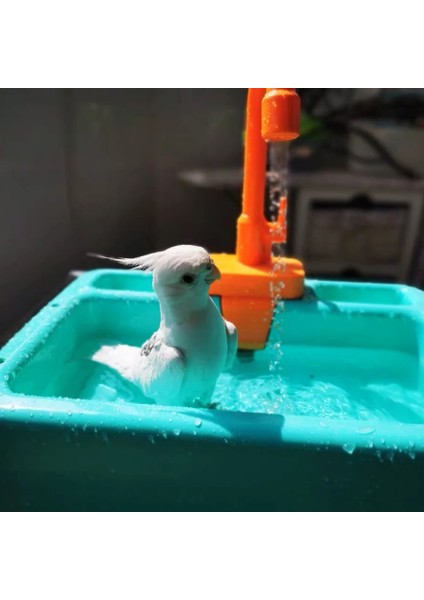 Kırmızı Stil Prettybetter Parrot Levrek Duş Pet Kuş Banyo Kafesi Havzası Papağan Banyo Havzası Papağan Duş Kase Kuşlar Aksesuarları Papağan Oyuncak (Yurt Dışından) fiyatları