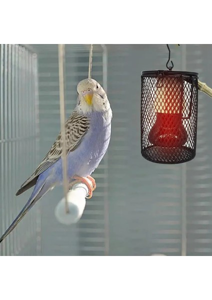 GB 100W Tarzı Papağan Sıcak Lamba Kaplumbağa Isıtma Lambası Kuş Kafesi Seramik Lamba Kapağı Kertenkele Sürüngen Kış Malzemeleri Kuş Isıtıcı (Yurt Dışından) fırsatları