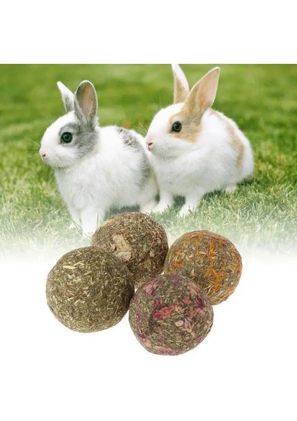 Aynısafa Stili 2 Adet Et Topu Çim Hamster Çiğneme Diş Taşlama Doğal Çim Domuz Tavşan Lla Küçük Hayvanlar Malzemeleri Için Oyuncaklar Oyna (Yurt Dışından) fiyatları