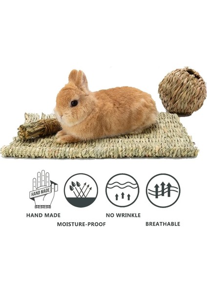 Açık Sarı Stil L 40CM 28CM Küçük Evcil Hayvanlar Için El Dokuma Ped Tavşan Çim Yastık Hamster Bitki Hasır Kafes Yatak Mat Gine Domuzu Evcil Hayvan Kafesi Aksesuarları Lapin (Yurt Dışından)