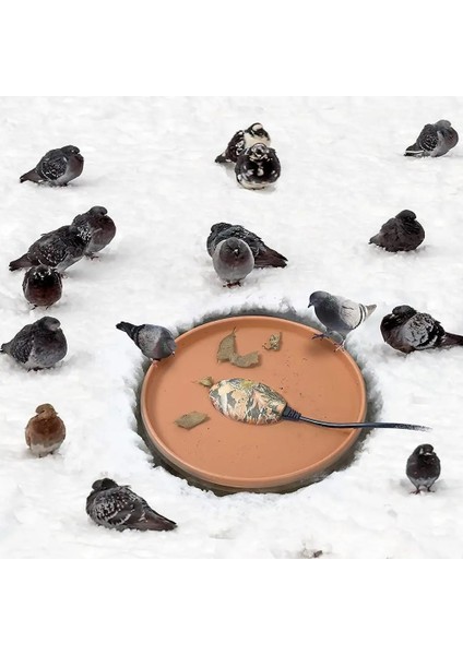 Bir Stil Kuş Banyosu Deicer Isıtıcı Pratik Kış Kümes Hayvanları Termostatik Birdbath Deicer ve Garde K6F8 Için Alüminyum Tabanlı Su Isıtıcı (Yurt Dışından)