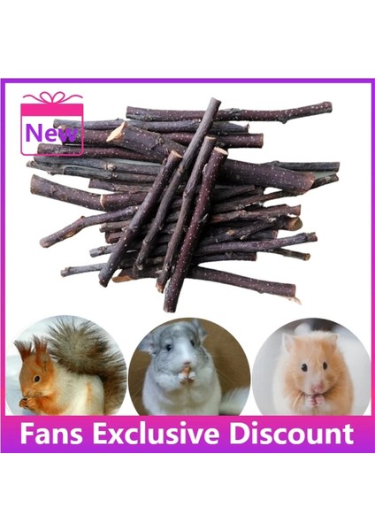 10 Adet Rastgele Stil Sıcak Satış Yeni Pet Küçük Evcil Hayvanlar Oynarken Tavşan Hamster Gine Domuzu Papağan Oyuncakları Hamster Çiğneme Oyuncak Ahşap Çubuk Dallar (Yurt Dışından)