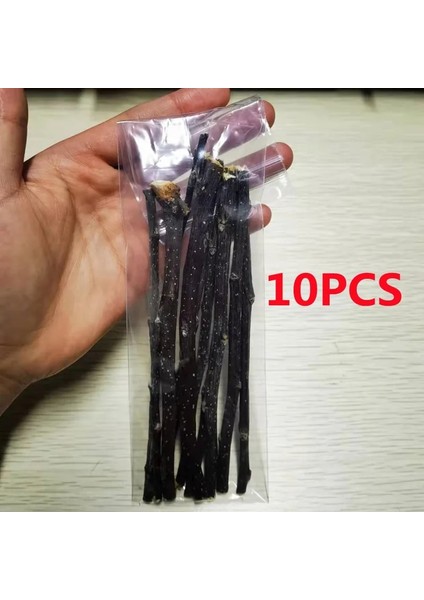 10 Adet Rastgele Stil Sıcak Satış Yeni Pet Küçük Evcil Hayvanlar Oynarken Tavşan Hamster Gine Domuzu Papağan Oyuncakları Hamster Çiğneme Oyuncak Ahşap Çubuk Dallar (Yurt Dışından)