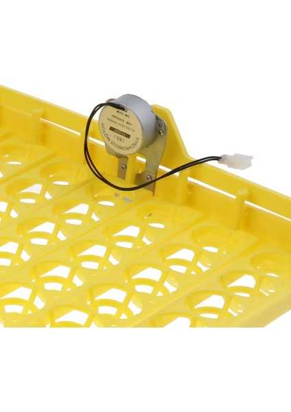 Automatken Ördek Bıldırcın Yumurtası Kuluçka Makinesi Turner Tepsisi W 220V Volt Motor (Yurt Dışından)