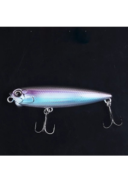 No.7 Tarzı 100MM 14G Basslegend Balıkçılık Topwater Yüzey Realis Kalem Popper Yem Bass Pike Cazibesi Köpek Yürüyüşü Wtd Gg (Yurt Dışından)