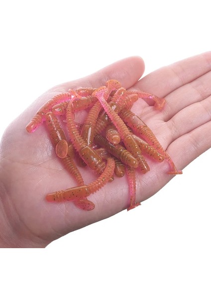 C Stili Lot Worms Yumuşak Yem Jig Wobblers Balıkçılık Cazibesi 5cm 1g Tuz Kokusu Silikon Yapay Yemler Kuyruk Yüzmek Bas Sazan Pesca Mücadelesi (Yurt Dışından)