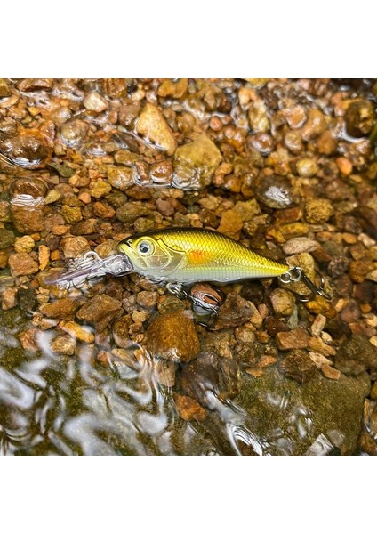 K Tarzı Lthtug Japon Tasarım Pesca Akışı Balıkçılık Cazibesi G Yüzen Minnow Krank Isca Bas Levrek Pike Alabalık Için Yapay Yemler (Yurt Dışından) modelleri