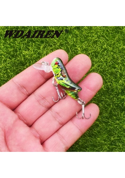 C Stili 1 Adet Böcek Biyonik Balıkçılık Cazibesi G Çekirge Minnow Sert Yemler Kalamar Yapay Swimbaits Bas Sazan Pike Olta Takımı (Yurt Dışından)