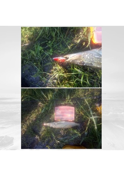 D Gümüş Tarzı 2g Tek Kanca Lushazer Balıkçılık Cazibesi Kaşık 2g 5g 7g 10G 15G 20G Goldsilver Balıkçılık Yemi Kaşık Sert Lures Metal Cazibesi Çin (Yurt Dışından) modelleri