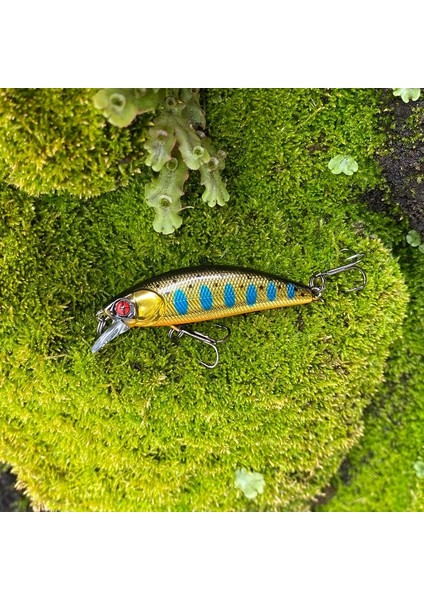 L Tarzı 40MM 2.6g Peche Leurre Lthtug Phoxy Mınnow Hw .6g .5g Batan Minnow Akışı Balıkçılık Yemleri Levrek Pike Alabalık Bass Için (Yurt Dışından) modelleri