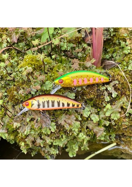 L Tarzı 40MM 2.6g Peche Leurre Lthtug Phoxy Mınnow Hw .6g .5g Batan Minnow Akışı Balıkçılık Yemleri Levrek Pike Alabalık Bass Için (Yurt Dışından) indirimleri