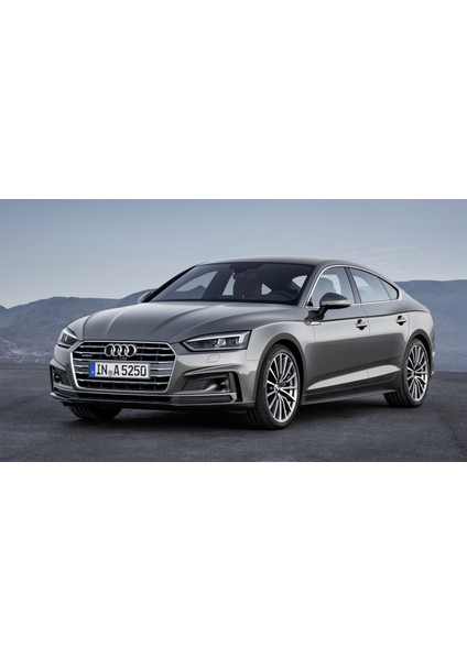 Audi A5 Kaput Amortisörü 2016-2020 (2 Adet)