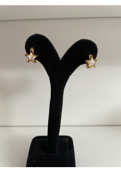 Kadın Çelik Kararmaz Yıldız Klipsli Gold Küpe modelleri
