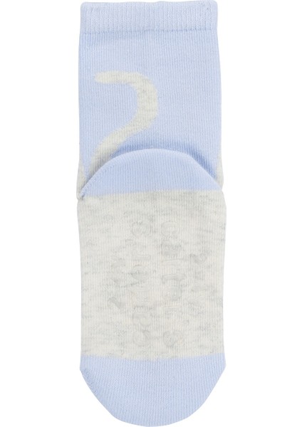 Küçük Kız Çocuk 6lı Çorap modelleri