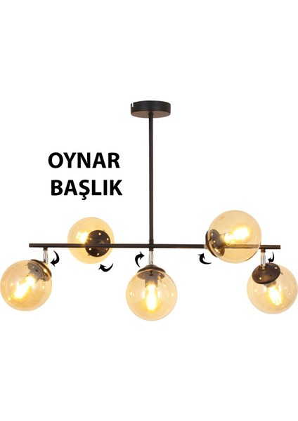 Lona 5 Li Siyah Oynar Başlıklı Avize Bal Glop Cam Modern Mutfak Yemek Masası Üstü Yatak Odası Salon Avize fiyatları