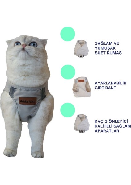 Kedi Göğüs Tasması Kedi Gezdirme Tasması Kediler Için Özel Üretim Yeni Nesil (Tasma Dahil)