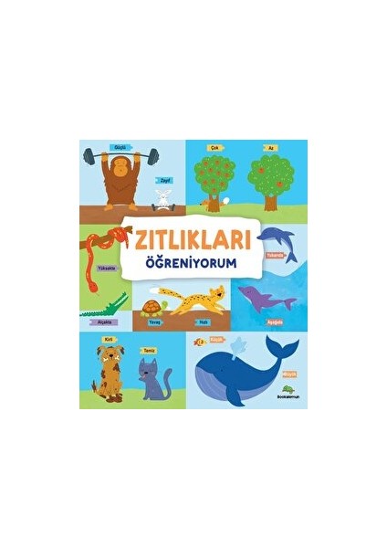 Zıtlıkları Öğreniyorum