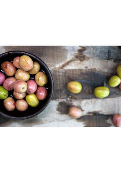 Çizik Zeytin 2 kg fiyatları