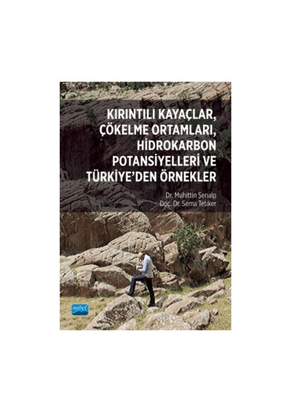 Kırıntılı Kayaçlar, Çökelme Ortamları, Hidrokarbon Potansiyelleri ve Türkiye’den Örnekler