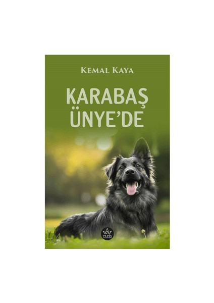 Karabaş Ünye’de