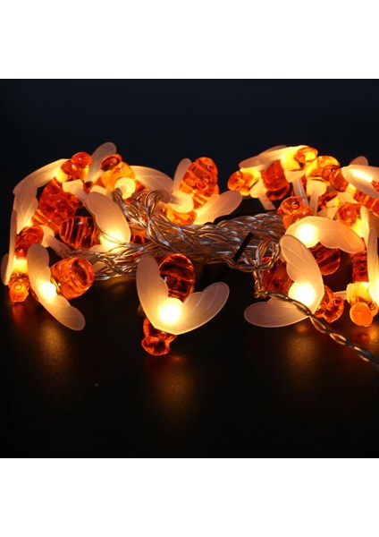 Su Geçirmez Peri Işıkları Arı Kolye Işık 2 Metre 20 Işık Sıcak Beyaz Olmadan (Yurt Dışından) fırsatları