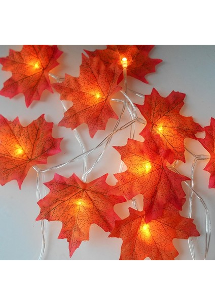 3 Metre 20LED Işıklı Çelenk, Dekor Dize Işıkları, Tatil Için Hediye Sonbahar Dekoru, Sıcak Beyaz (Yurt Dışından) indirimleri