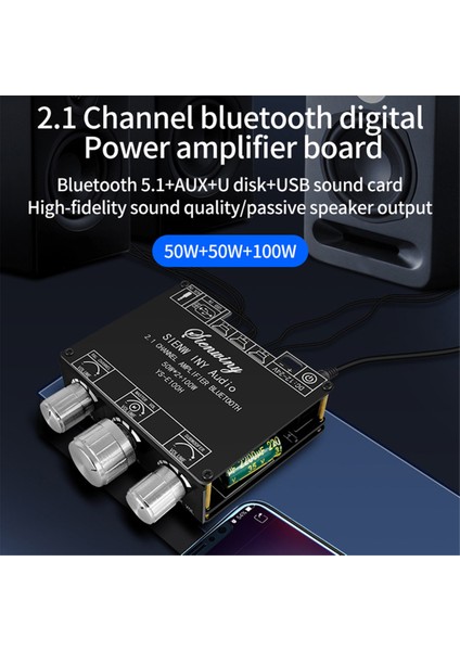 50WX2+100W -E100H 2.1 Hi-Lo Subwoofer TPA3116 Taşınabilir Kullanışlı Kanal Bluetooth Ses Amplifikatörü Devre Kartı Modülü (Yurt Dışından)
