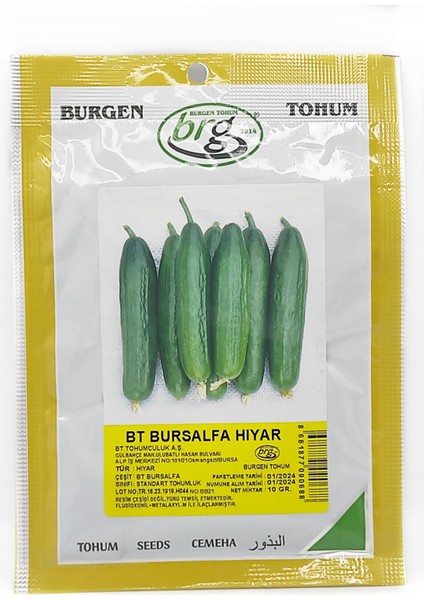 Bt Bursalpha Salatalık Tohumu 10 gr