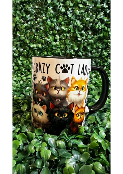 Crazy Cat Lady Mug fiyatları
