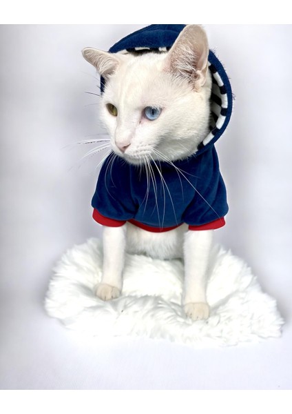 Neo Tommie Kapşonlu Kedi Sweatshirt Kedi Kıyafeti Kedi Elbisesi Kedi Giyim