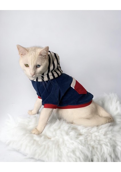 Neo Tommie Kapşonlu Kedi Sweatshirt Kedi Kıyafeti Kedi Elbisesi Kedi Giyim