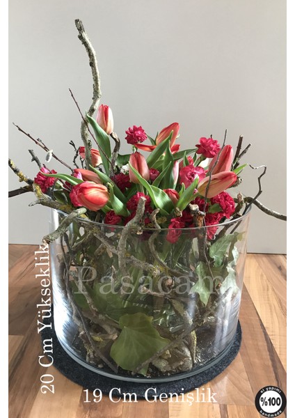 Silindir Cam Vazo Denizli El Imalat Teraryum Büyük Saksı 2'li 19 cm Genişlik 20CM 40 cm En Geniş Boy