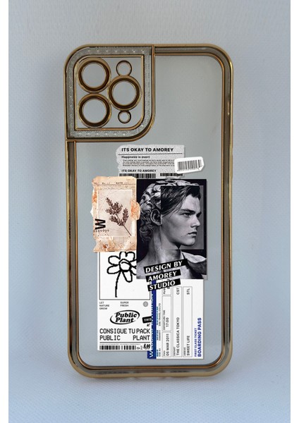 iPhone 11 Pro Max Amorey Tasarımlı Telefon Kılıfı