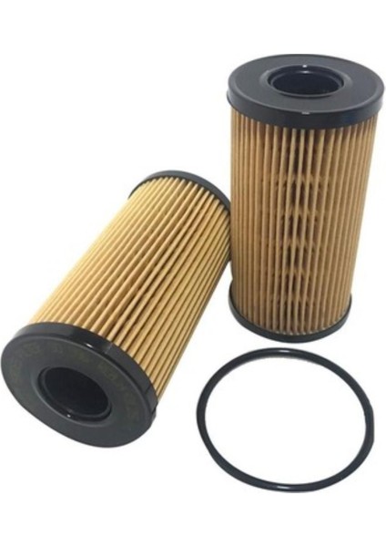 Yag Fıltresı Renault Laguna Iı Iıı Megane Iıı Trafıc Iı 2.0dcı Master Iıı 2.5dcı Opel Vıvaro 2.0cdtı Movano 2.5cdtı
