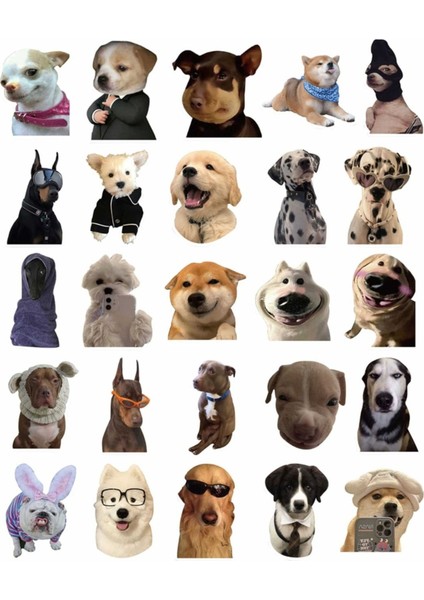 Sevimli Köpek Çıkartmaları Laptop Notebook Tablet Sticker Seti fırsatları