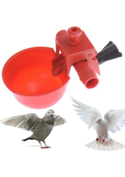 Kırmızı Otomatik Bıldırcın Suluk Hayvan Besleyiciler Otomatik Kuş Kümesi Yemi Kümes Hayvanları Tavuk Tavuğu Suluk Su Içme Bardakları (Yurt Dışından) modelleri