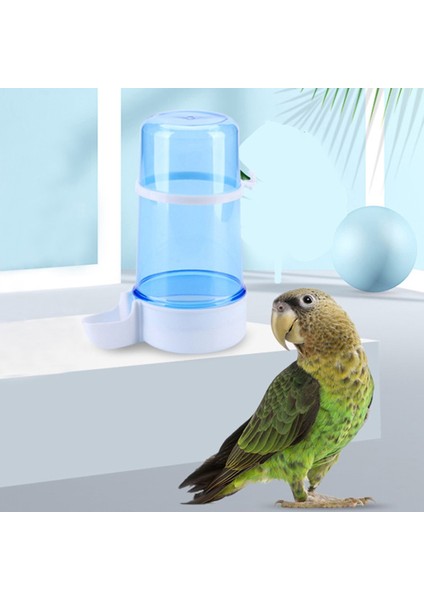 Beyaz Stil Kuş Su Tiryakisi Besleyici Waterer Klip ile Pet Kuş Malzemeleri Dispenser Şişe Pet Papağan Kafesi Için Içme Fincan Kaseler (Yurt Dışından) fırsatları