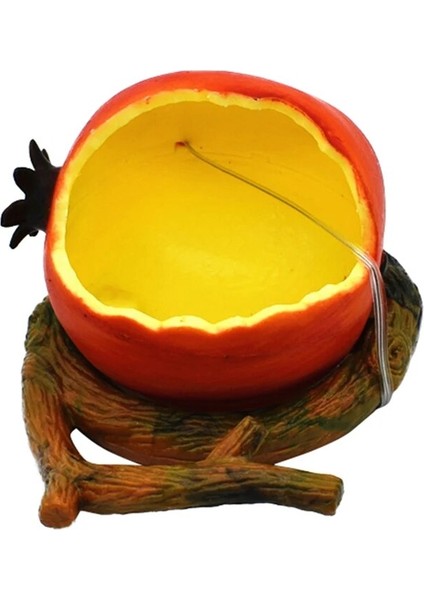 B Tarzı Pet Papağan Besleyici Komik Meyve Şekli Kuş Portakal Nar Gıda Su Besleme Kase Kasalar Kafesler Için Konteyner Besleyiciler (Yurt Dışından)