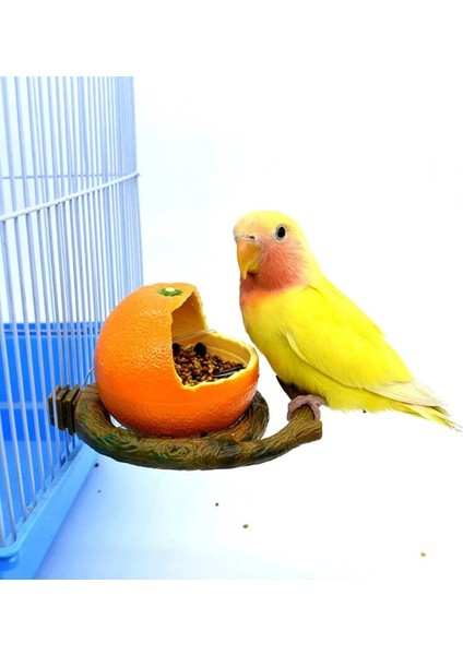 B Tarzı Pet Papağan Besleyici Komik Meyve Şekli Kuş Portakal Nar Gıda Su Besleme Kase Kasalar Kafesler Için Konteyner Besleyiciler (Yurt Dışından) modelleri