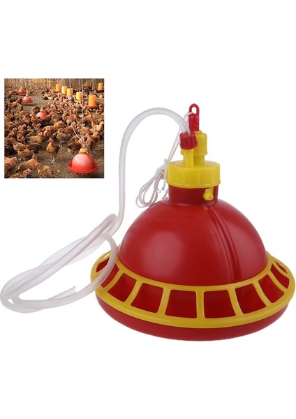 Kırmızı Stil Yuvarlak Tavuk Içme Çeşmesi Cihazı Asılı Bardak Suluk Kase Pet Kümes Hayvanları Su Tiryakisi Ev Evcil Hayvan Besleme Gereçleri (Yurt Dışından) modelleri