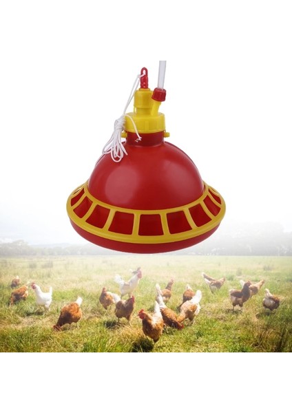 Kırmızı Stil Yuvarlak Tavuk Içme Çeşmesi Cihazı Asılı Bardak Suluk Kase Pet Kümes Hayvanları Su Tiryakisi Ev Evcil Hayvan Besleme Gereçleri (Yurt Dışından) fırsatları