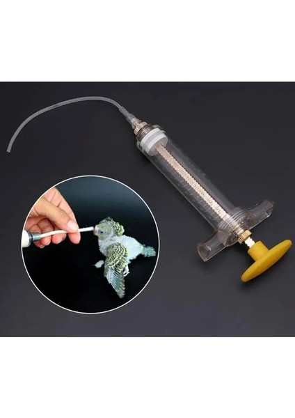 10ML Tarzı Mlmlml Papağan Besleme Şırıngası Papağanlar Kuş Besleme Şırıngası Yüksek (Yurt Dışından)